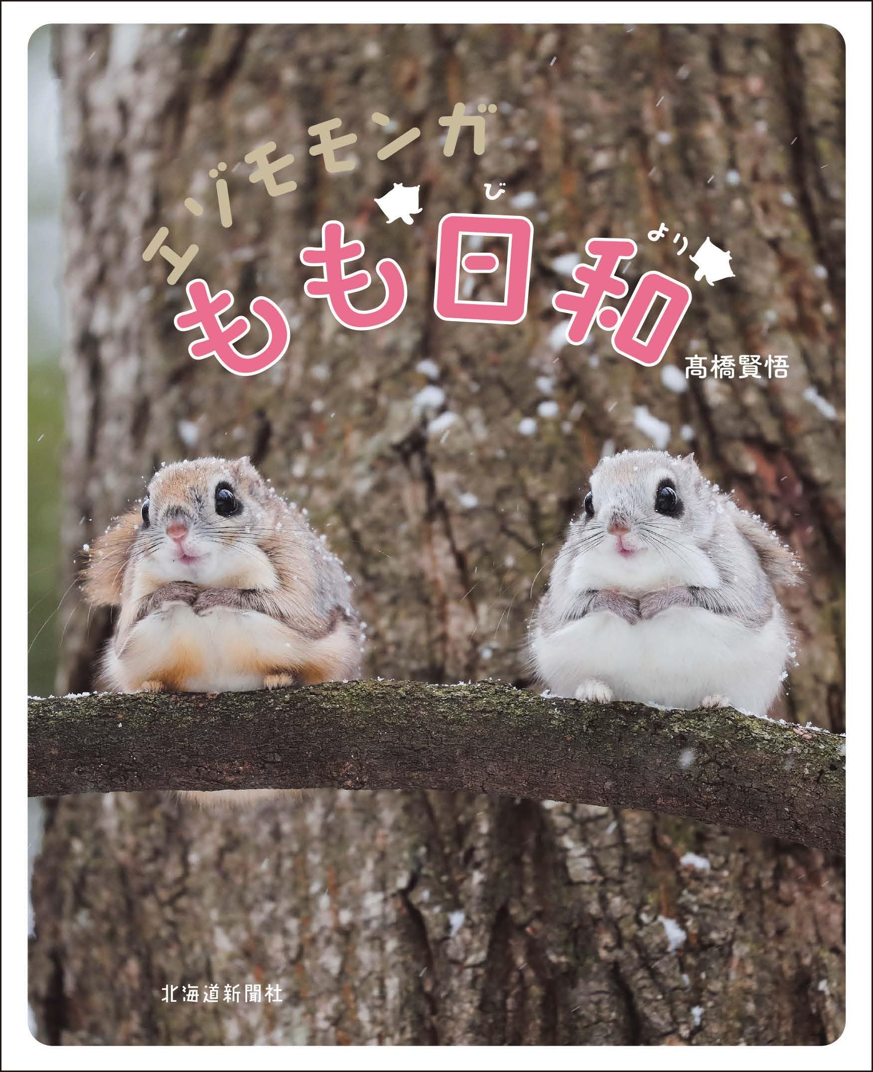 第2回⑤【バレンタインオリジナル生地】＊ころんと日和