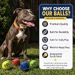INSUM Squeaky Dog Ball, 12 Pack Multi-Color Dog Toys for Small Medium/Large Dogs, Non-Toxic SGS Certified, Interactive Pet Toys for Puppy Training & Outdoor Play