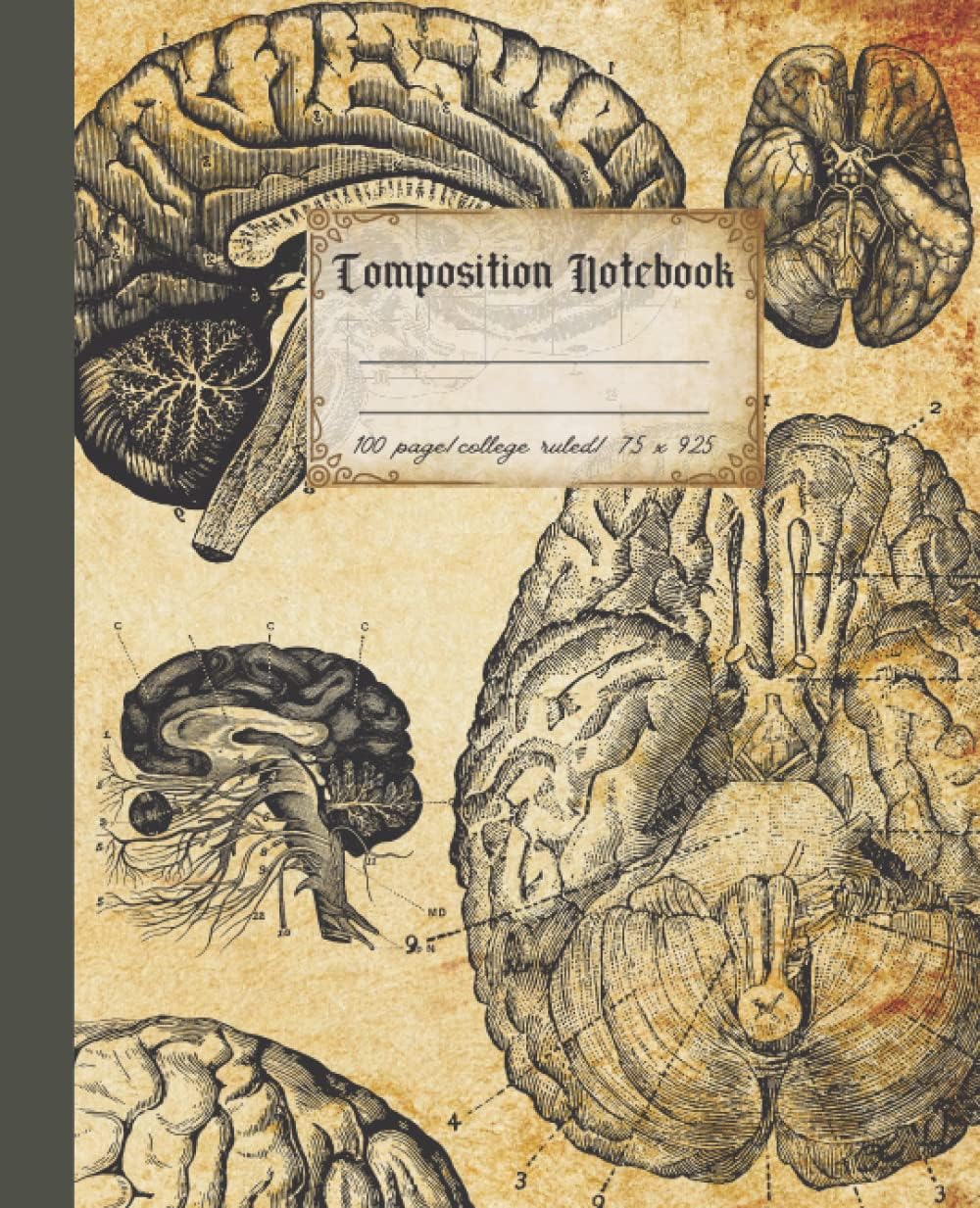 Antique Human Brain Composition Notebook: Vintage Style Human Brain Anatomy Illustrations College Ruled Journal