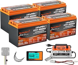 Enjoybot 48V 100Ah LiFePO4 Lithium Golf Cart Battery Conversion Kit - 4 X 12V 100Ah Group 31 LiFePO4 Battery, Built-in 100A BMS with Low Temperature Cut-Off Function, Peak Current of 350A