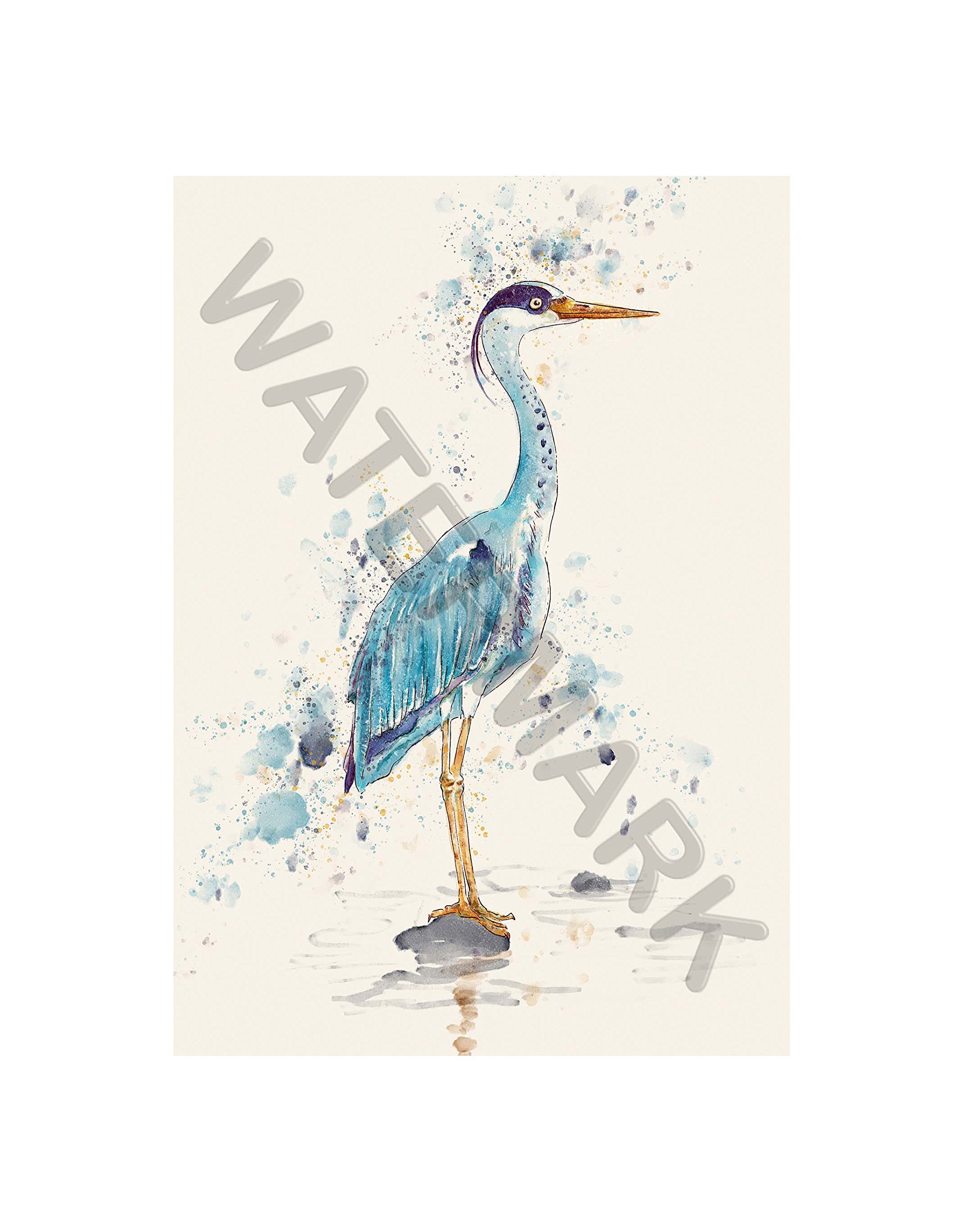 Wee Blue Coo Heron Watercolour Wall Art Print