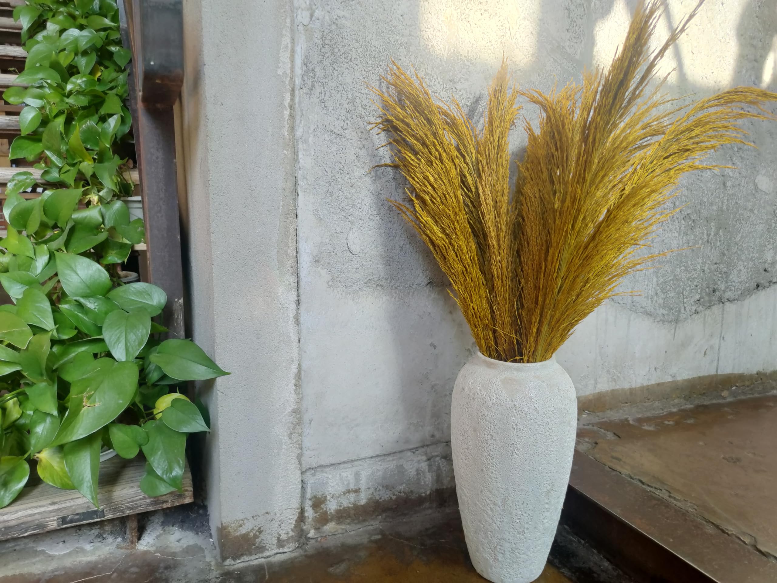 Gold Pampas Grass Decor Tall,Large Natural Dried Pampas Floral Fluffy,Long Feather Flowers for Boho Wedding Arangement Bedroom Living Room Decorations (gold - Image 3