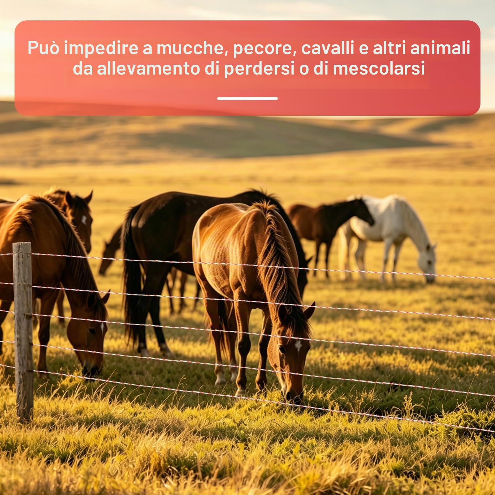 1000M Corda per Recinzioni Elettriche, Recinti Elettrici in Acciaio Inox con 6 Fili Conduttori, Filo Elettrico per Recinti Animali, Elettrificati Recinzioni per Animali Cinghiali Mucche
