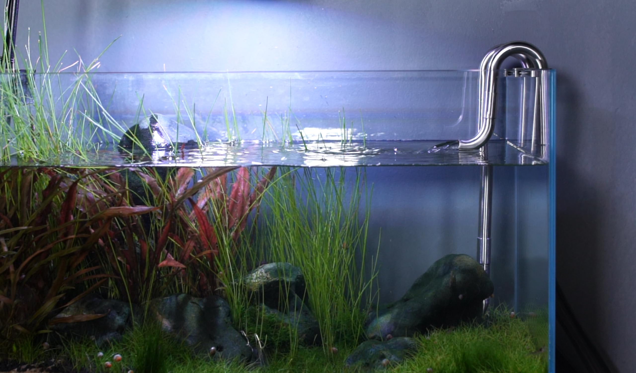 View 9