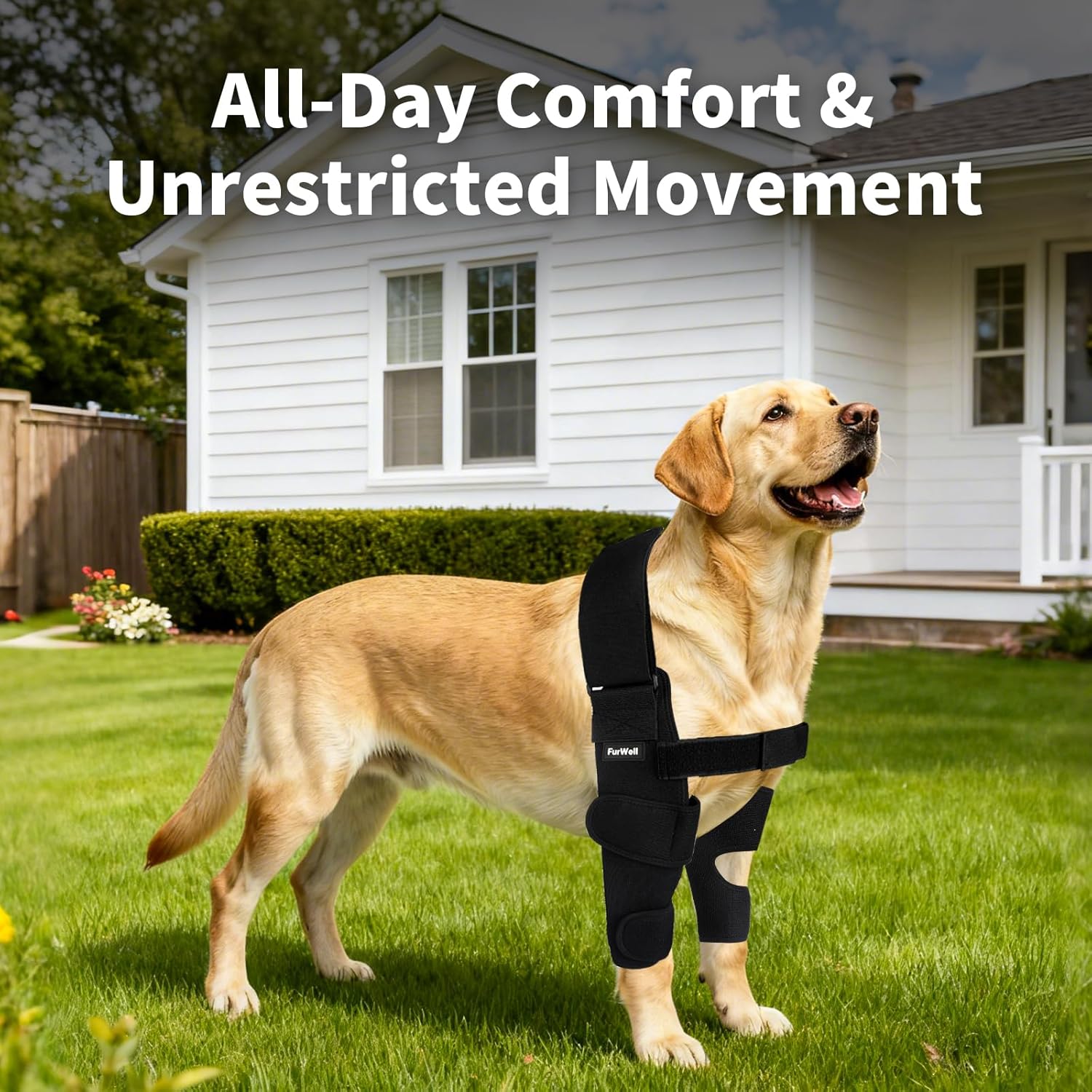 Dog Elbow Brace Protector with Decoupled Chest Strap - Breathable, Abrasion-Resistant - Adjustable Elbow Support for Hygroma, Dysplasia, Arthritis, Calluses & Shoulder Instabilit(Both Legs, L)