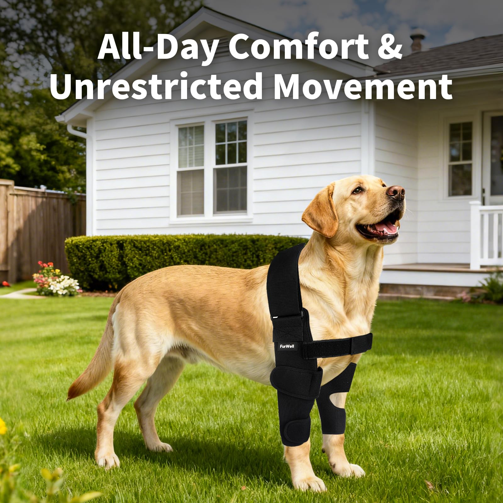 Codera para perro con correa de pecho desacoplada, transpirable, resistente a la abrasión, soporte de codo ajustable para higroma, displasia, artritis, callos e inestabilidad del hombro