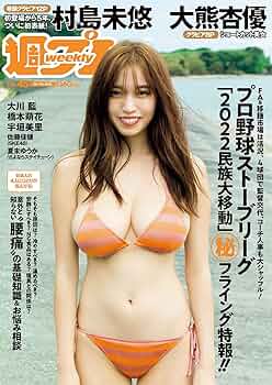 週刊 プレイボーイ 2010年 45号 AKB48 黒川智花 森下千里 週刊プレイボーイ 2010年1月4日、11日