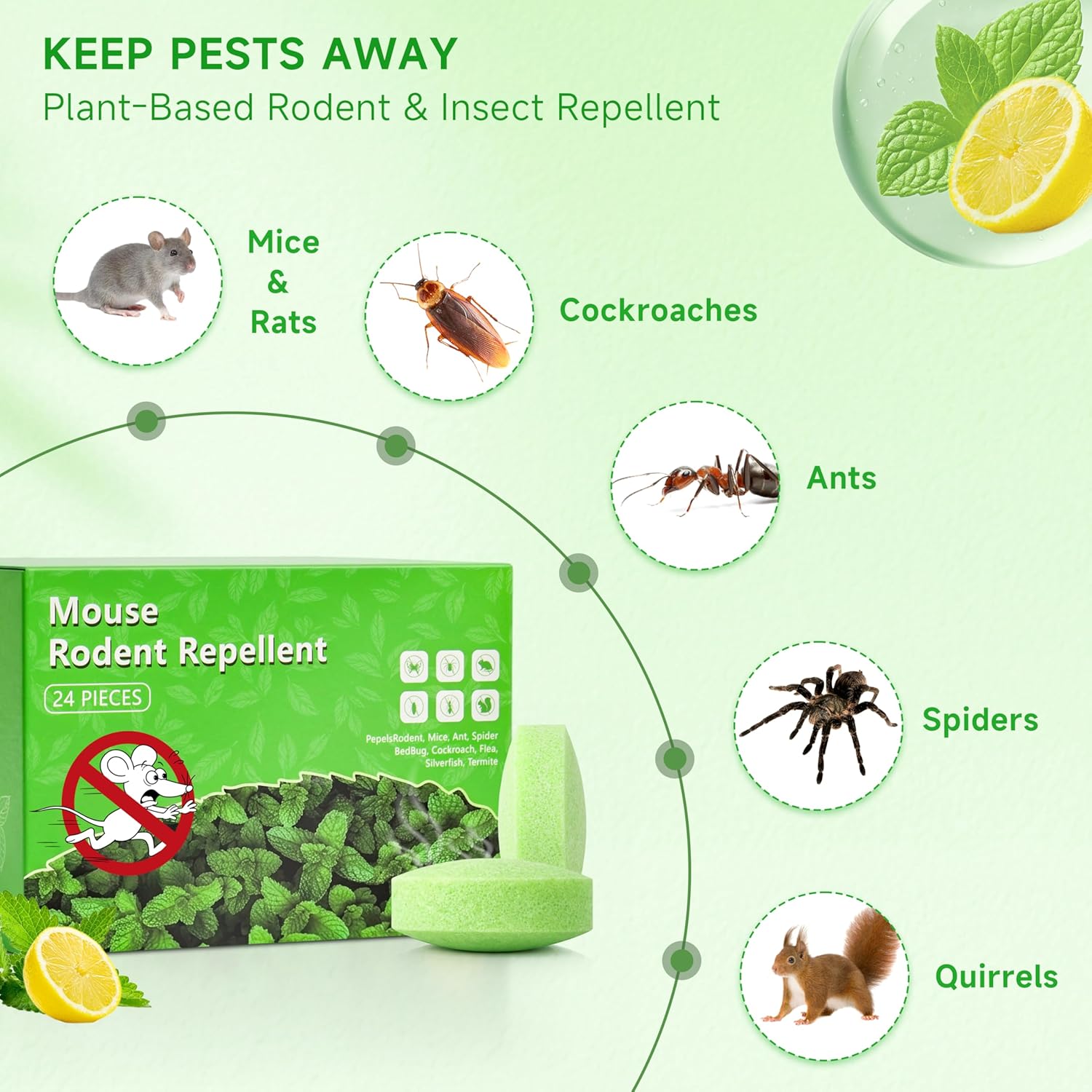 Mouse Repellent 24 Pack, Peppermint Oil Rodent Repellent for Mice, Rats & Squirrels, Indoor & Outdoor Use for Home, Garage & Garden, Natural Deterrent