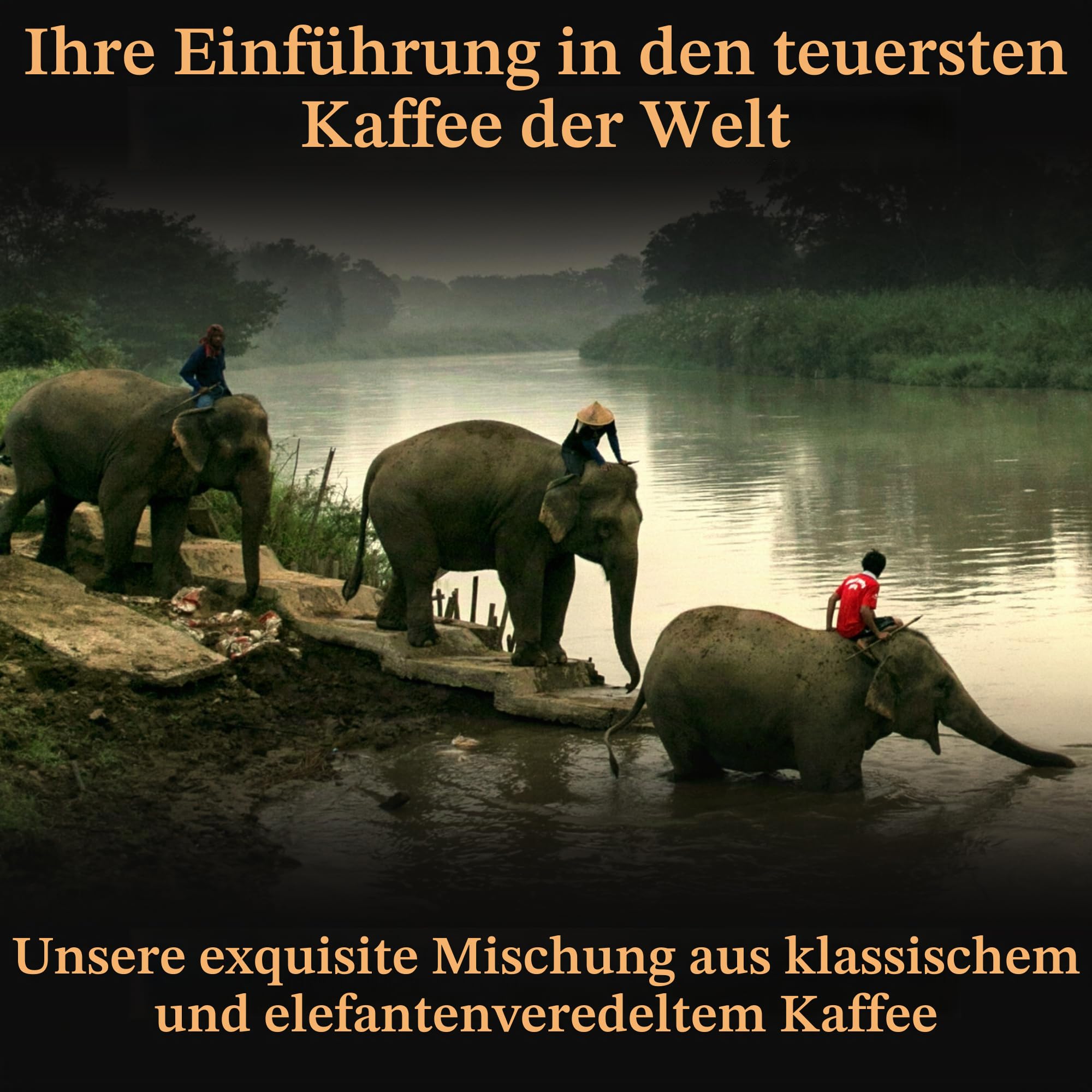 Black Ivory Coffee Mahout's Blend | Elefantenraffinierte Kaffeemischung | Thai Arabica Vollbohnenkaffee | 40 g