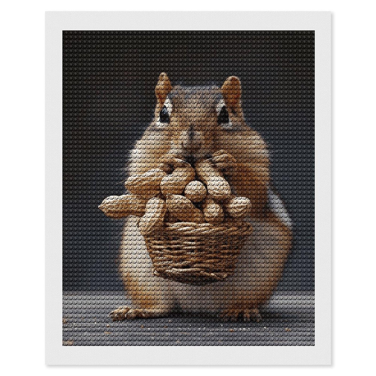 DWVTSLH Squirrel and Peanut Diamond Painting Kits for Adults, Personalized Diamond Photo Art Full Drill, DIY 5D Diamond Art Painting Kits for Beginners, Home Wall Decor 16"x20"