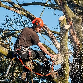 Tree Climbing Gear, Tree Climbing Spikes, Tree Climbing Gear with Adjustable Climbing Straps and Steel Core Flip Line, Rock Climbing Kit with Triple Lock Lanyard Adjuster