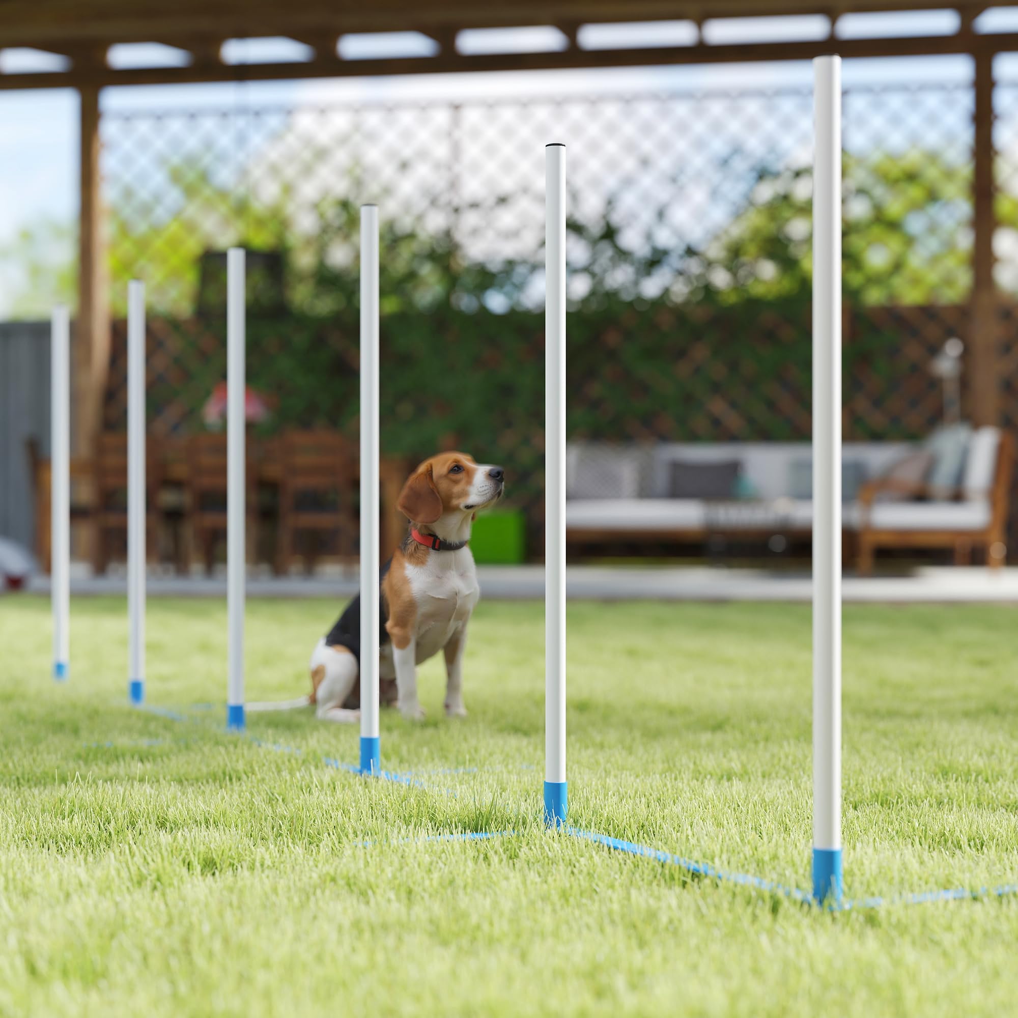PawHut Agility Set Hunde 6-Teiliges für Hundetraining mit 6 Slalomstangen | Agility-Ausrüstung, Klappbar, Steckhürdenset, Tragetasche, Trainingszubehör, Koordinationstraining