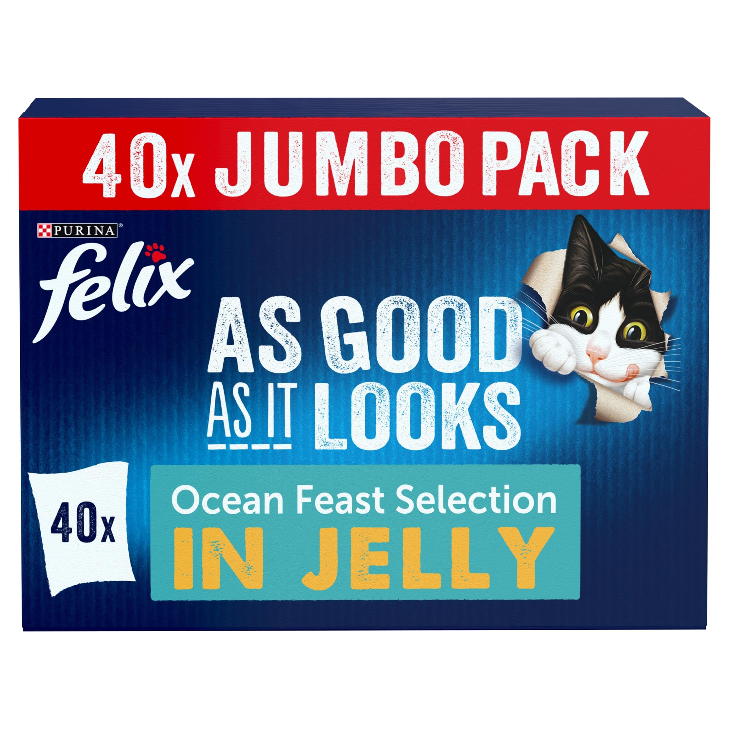 As Good As it Looks Ocean Feasts Wet Cat Food 40x85g