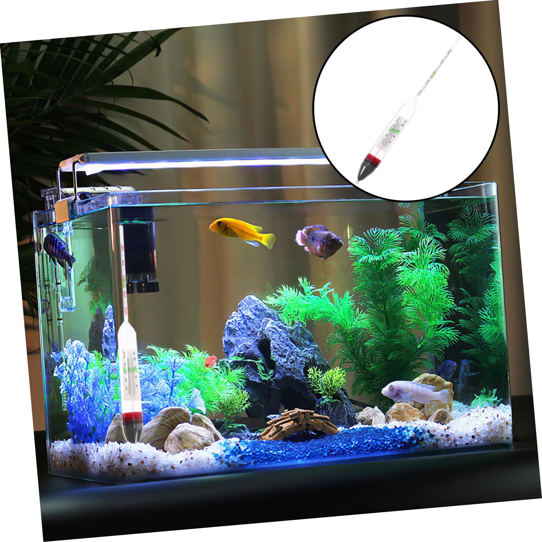 Densitometer für Aquarien und Meerwasserdensitometer aus Glas Schwimmendes Hydrometer zur Manuellen Salzgehaltsmessung von Wasserproben in Salz und Schwimmbadwasser