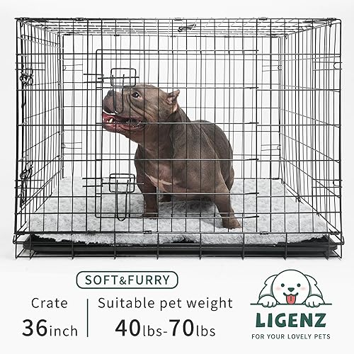 Miniatura 3 de Cama para perros de 36 pulgadas, lavable de lujo, para perros grandes, esponjosa, cómoda, con parte inferior antideslizante, 35 x 23 pulgadas, color