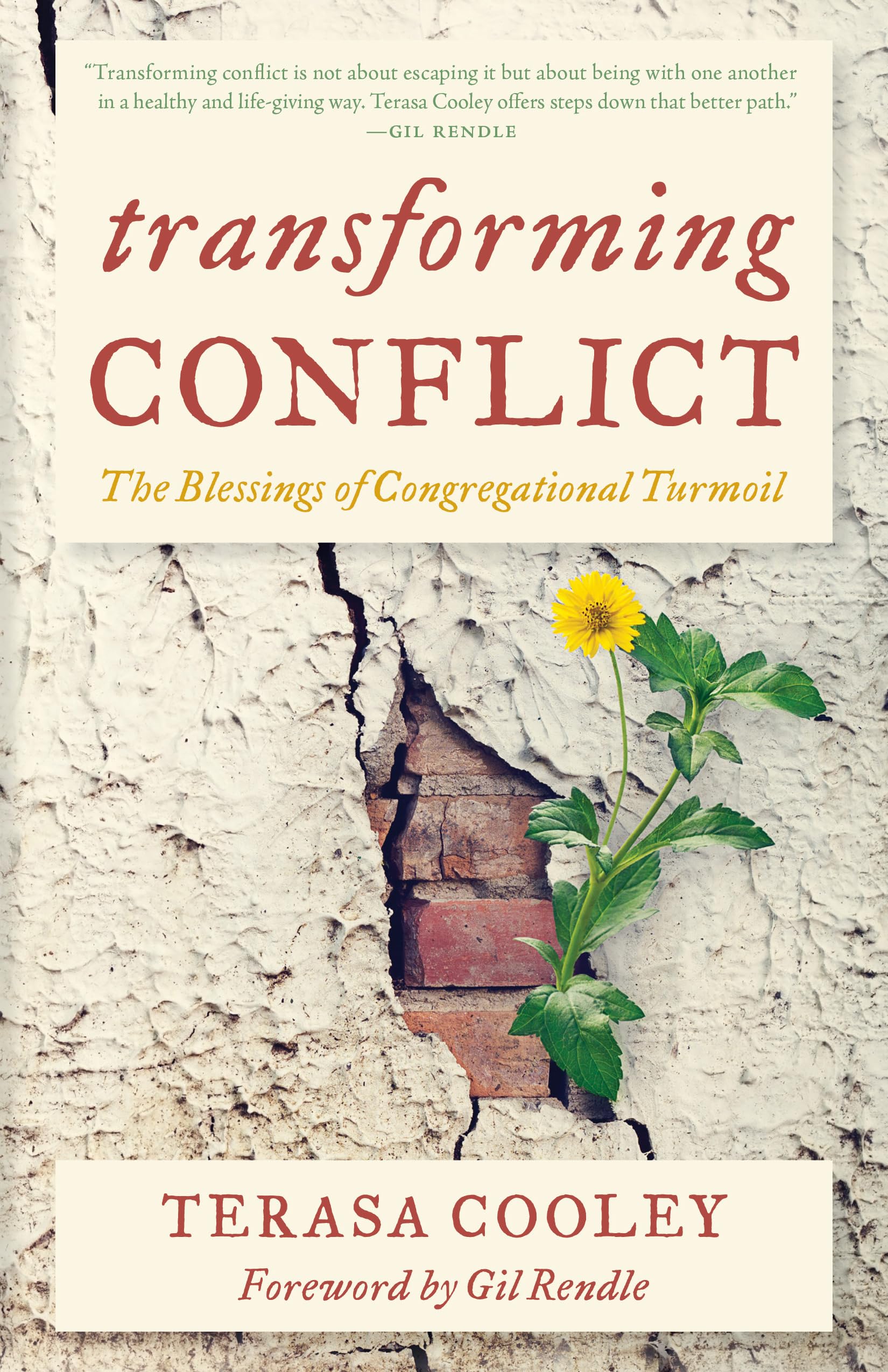 Transforming Conflict: The Blessings of Congregational Turmoil: Cooley  Unitarian Universalist As, Dr. Terasa G., Rendle senior vice president  Texas ...
