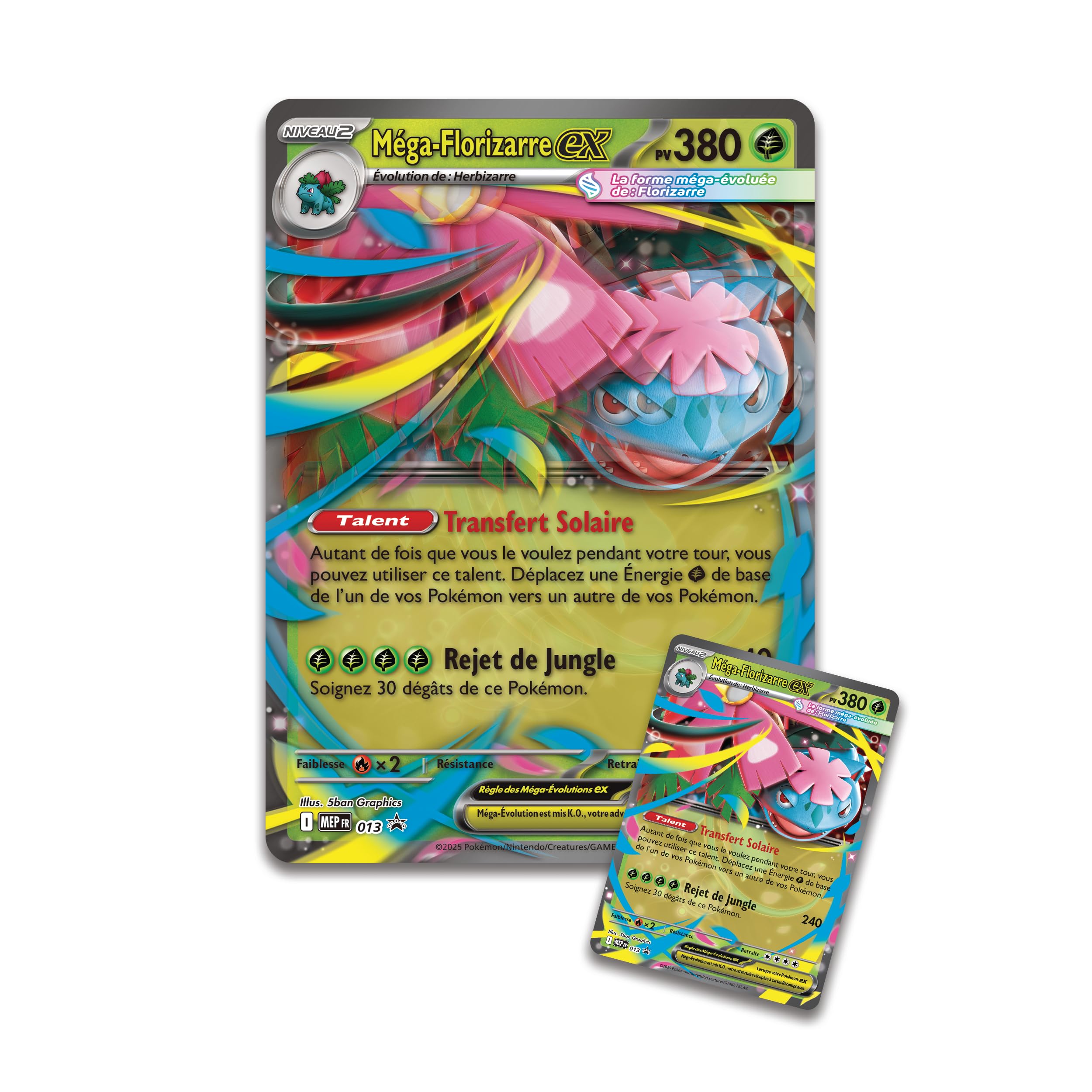 Pokémon : Collection Premium Méga-Florizarre-ex (1 Carte Promo Brillante, 1 Carte Promo Grand Format lenticulaire et 8 boosters) du JCC Pokémon