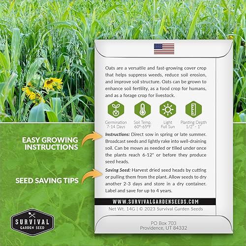 Miniatura 2 de La avena cubre semillas de cultivo para plantar, 1 paquete con instrucciones para plantar y cultivar avena de alto rendimiento como cobertura o