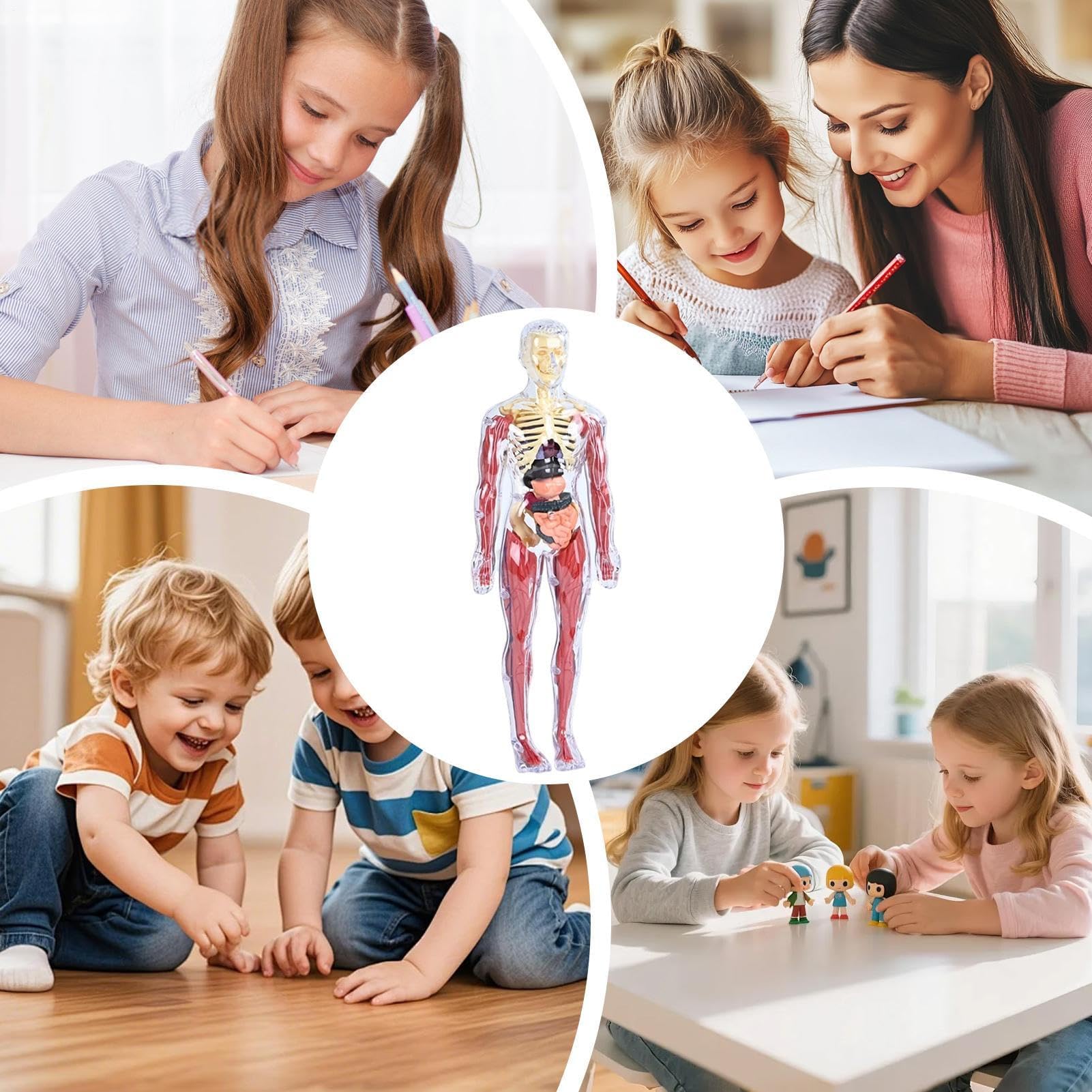 Interaktywny model anatomiczny, zabawka do nauki o ludzkim ciele, edukacyjna figurka 3D z wyjmowanymi organami, miękki model anatomiczny, pomoc edukacyjna z elementami wizualnymi, zabawka do nauki lud