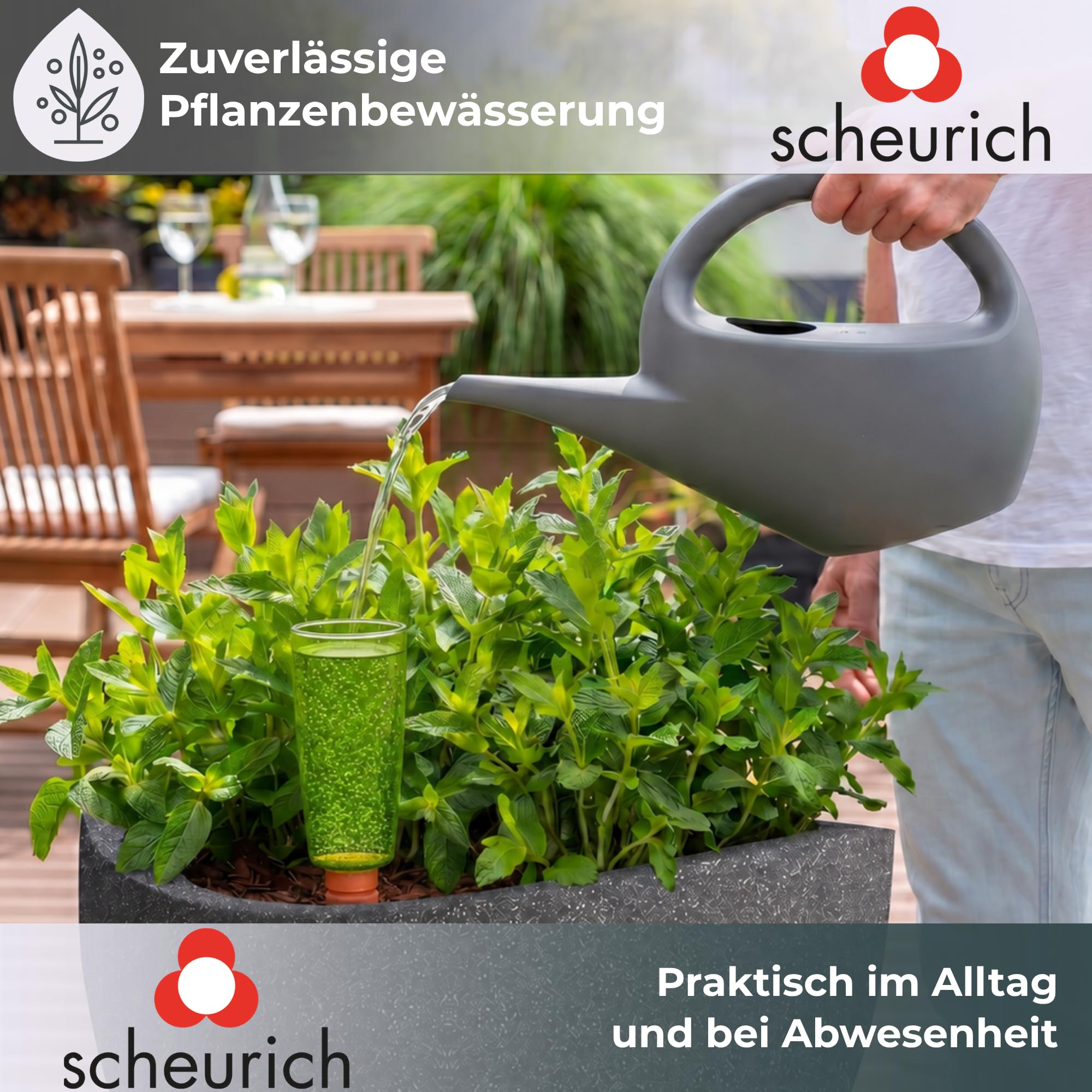 Scheurich Copa M Bewässerung Wasserspender Bewässerungskugel grün transparent (8, Grün)