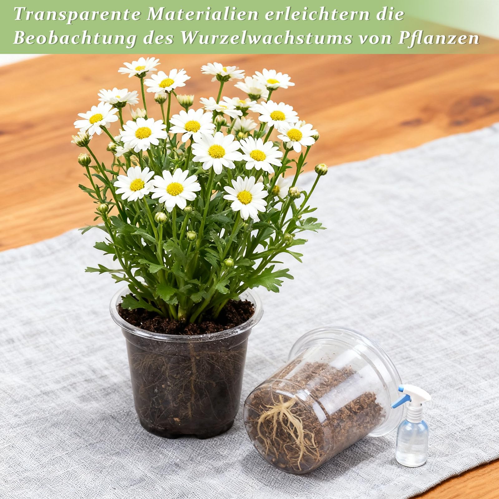 Pot de Fleurs, 24 Pièces Pot Transparent Plante avec Couvercles, 9 cm de Diamètre, Pots de Culture en Plastique, Pots de Fleurs avec 24 Étiquettes Plates, pour Plantes Grasses, Semis