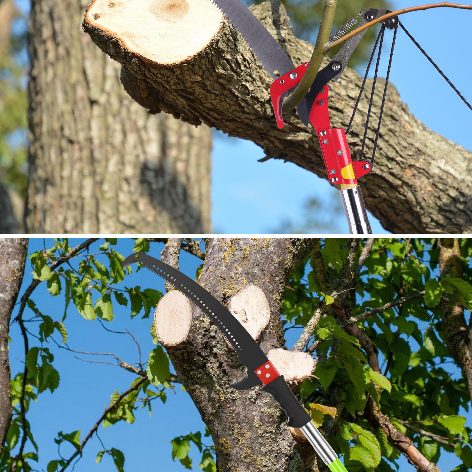 Coupe Branche Télescopique 8m: Scie Telescopique Elaguer 2 en 1,7 Manche Télescopique | 2 Lames de Scie | Sac de Transport, Scie d'élagage Pour Élagage Palmiers Arbustes (Vert)