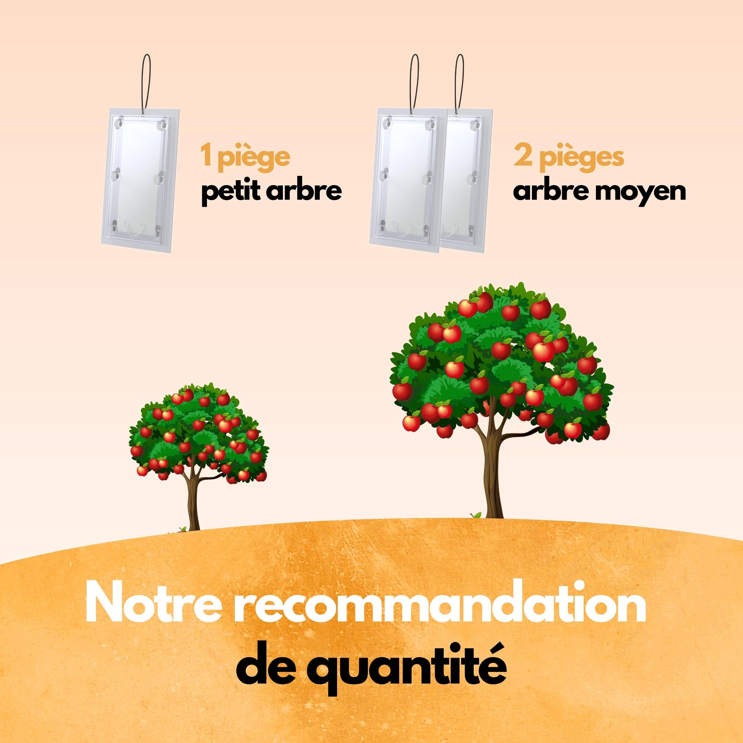 SCHÄDLINGSMEISTER® Lot de 3 pièges à carpocapse de pomme, avec ficelle, piège à phéromones pour lutter contre le carpocapse du pommier, lutte contre le carpocapse du pommier, lutte contre les
