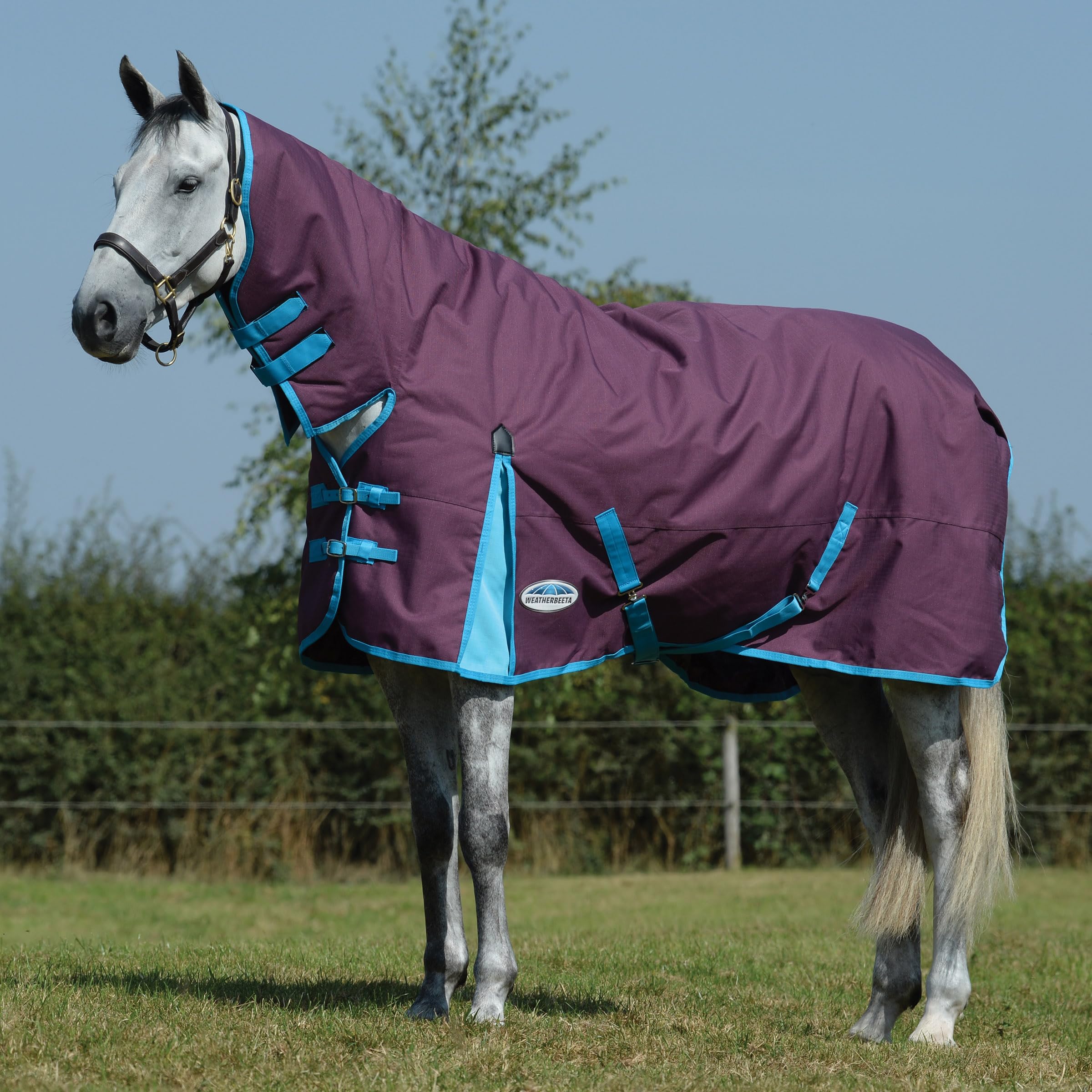 Weatherbeeta, Comfitec Essential, Combinazione di coperta e collare, pesante, Navy/Silver/Red
