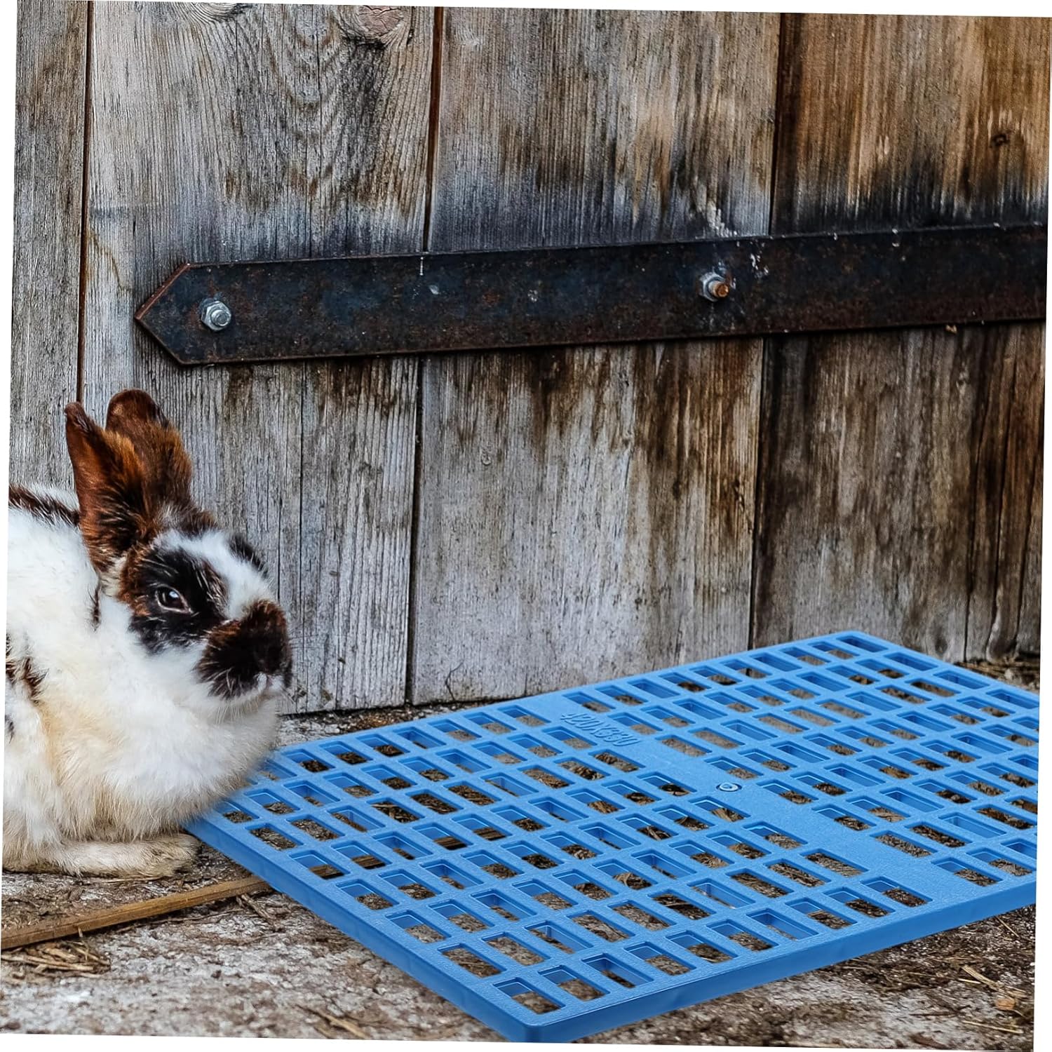 4Pcs Bunny Cage Mats Durable Feet Pads for Animals Water Floor Mat with Design Comfortable Rabbit Resting Pads