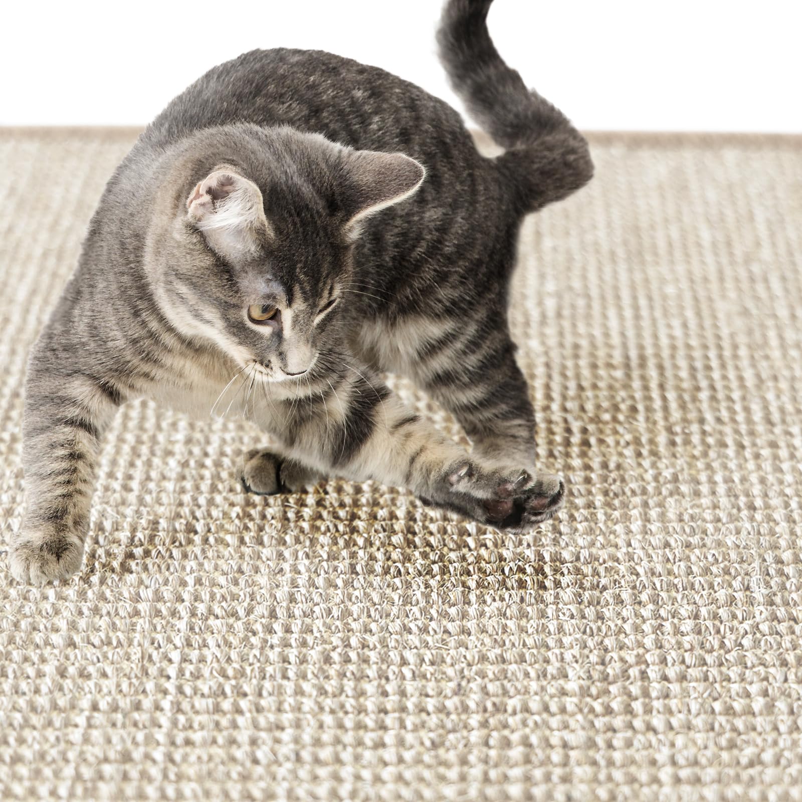 casa pura Alfombra rascadora redonda para gatos de 150 cm Ø de sisal natural, opciones de rascado para gatos, mueble para gatos para pared o suelo - resistente y lavable, marfil