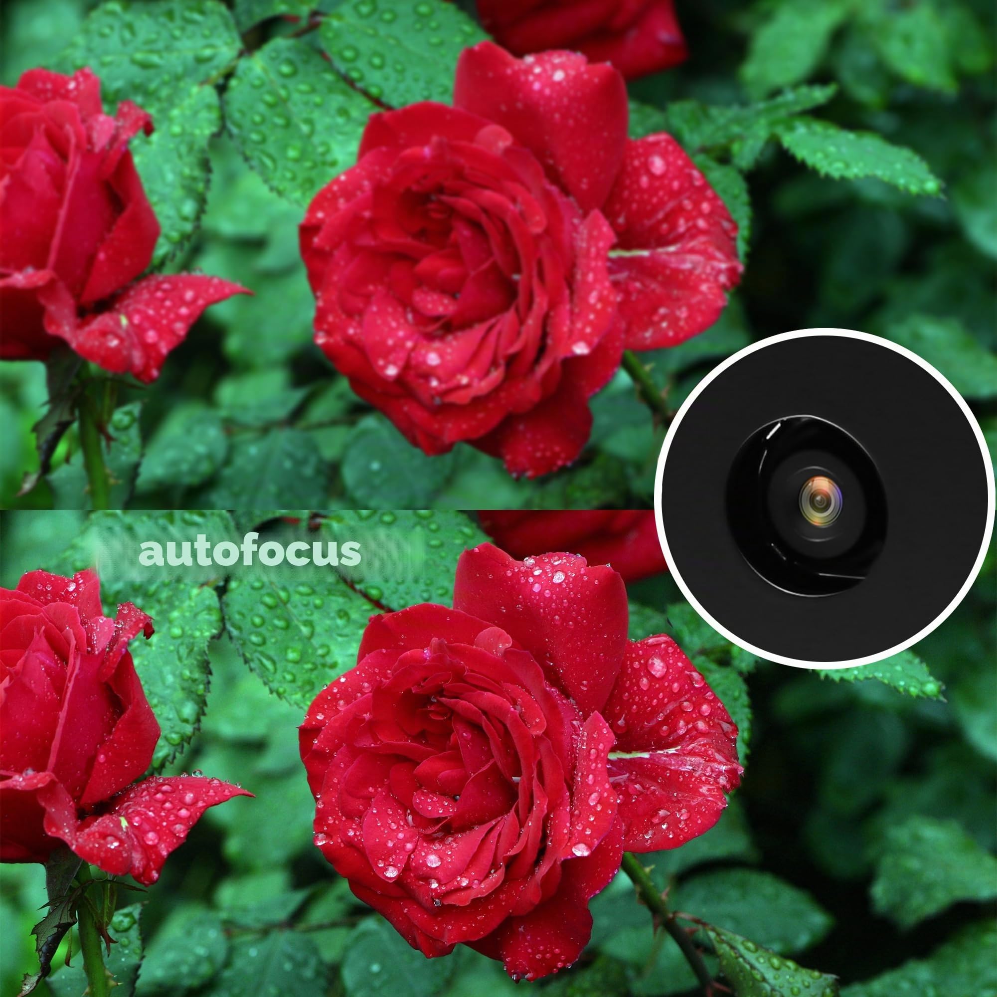 Svpro Autofocus - Telecamera USB da 16 MP, ad alta definizione, per computer portatile, IMX298, UVC, 4K, Lightburn, con incisione laser, elaborazione delle immagini industriali, fotocamera USB, spina
