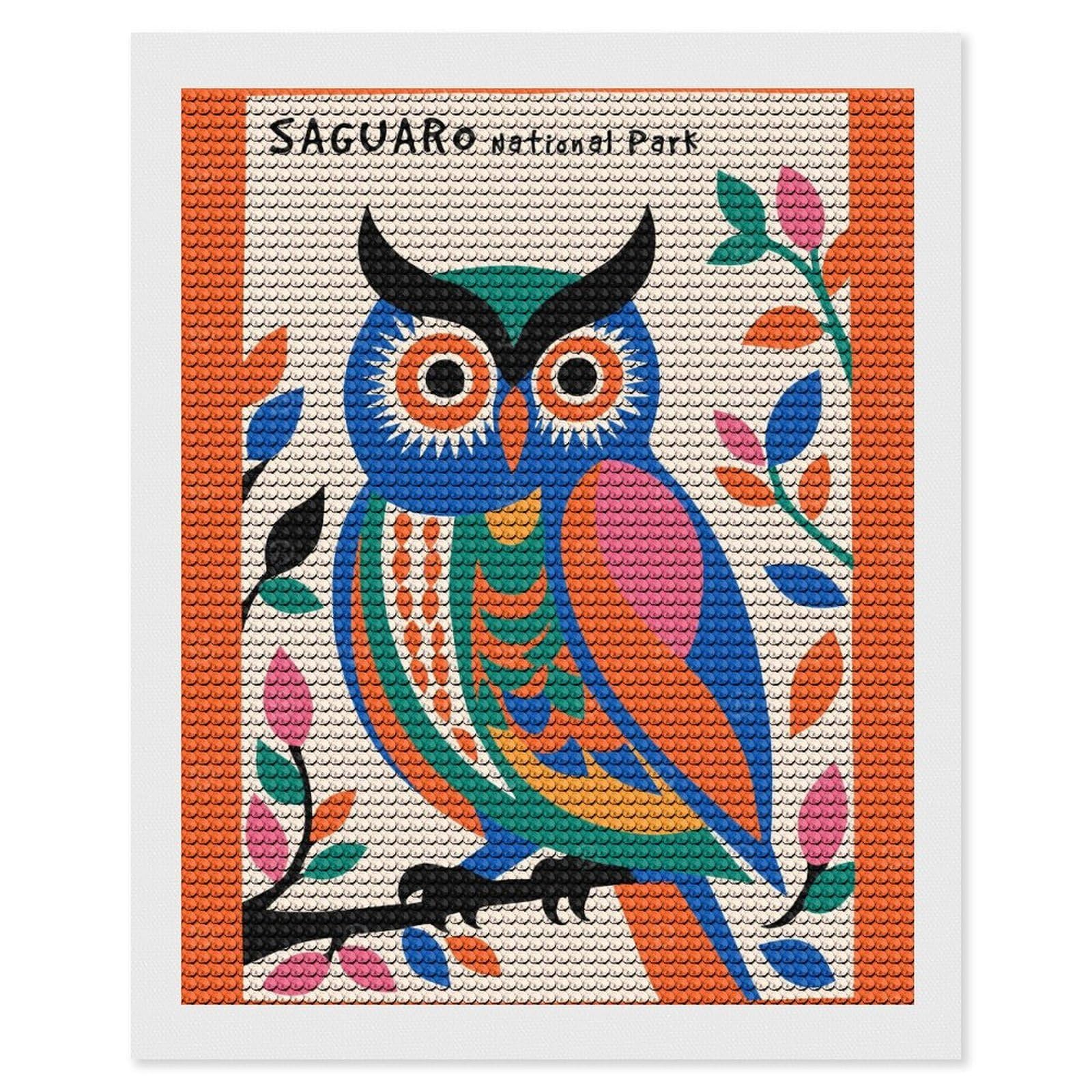 Junmoney Saguaro National Park Owl Diamond Painting Canvas Set 16"x20", Mindful Craft Activity, Nice Detail and Sparkle, Farmhouse Decor, Birthday Gift