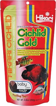 Hikari Cichlid Gold Floating Baby Pellets for Pets, 8.8-Ounce