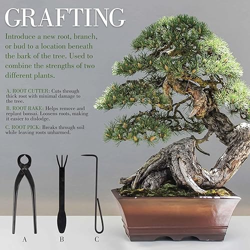 Miniatura 5 de bamboomn Bonsai Kit 16pc Master Juego de herramientas