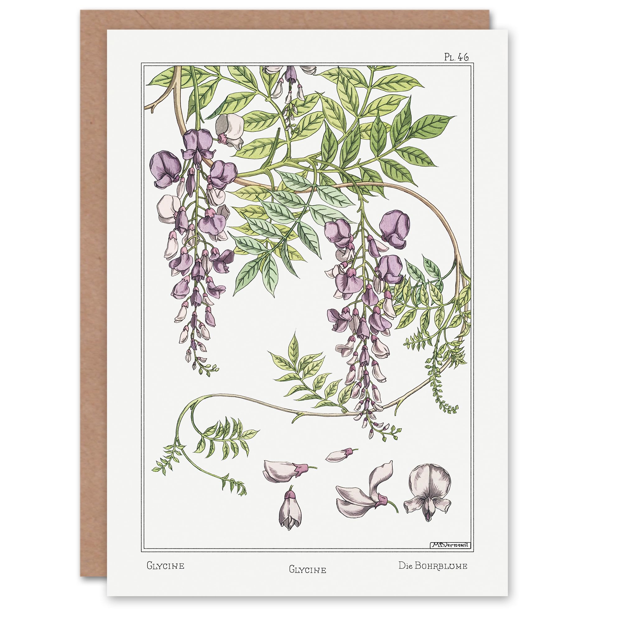 Artery8 Maurice Pillard Verneuil Art Card Wisteria Flower