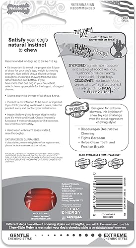 Vista 51 de Nylabone Flavor Frenzy Power Chew - Juguete masticable para perros sabor carne seca, tamaño pequeño/regular, 1 pieza
