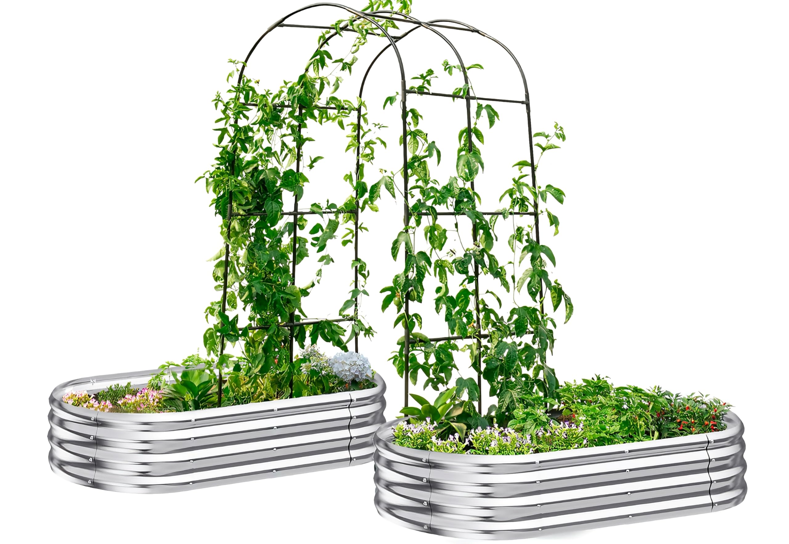 KING BIRD Raised Garden Bed with Arched Trellis