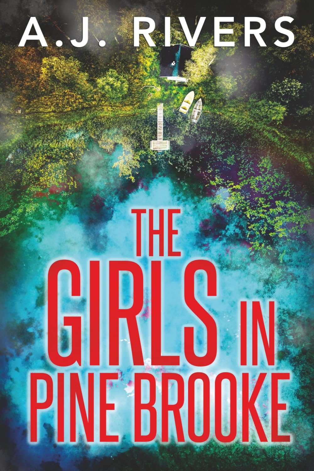 The Girls in Pine Brooke: 1 (A Detective Riley Quinn Pine Brooke Mystery)