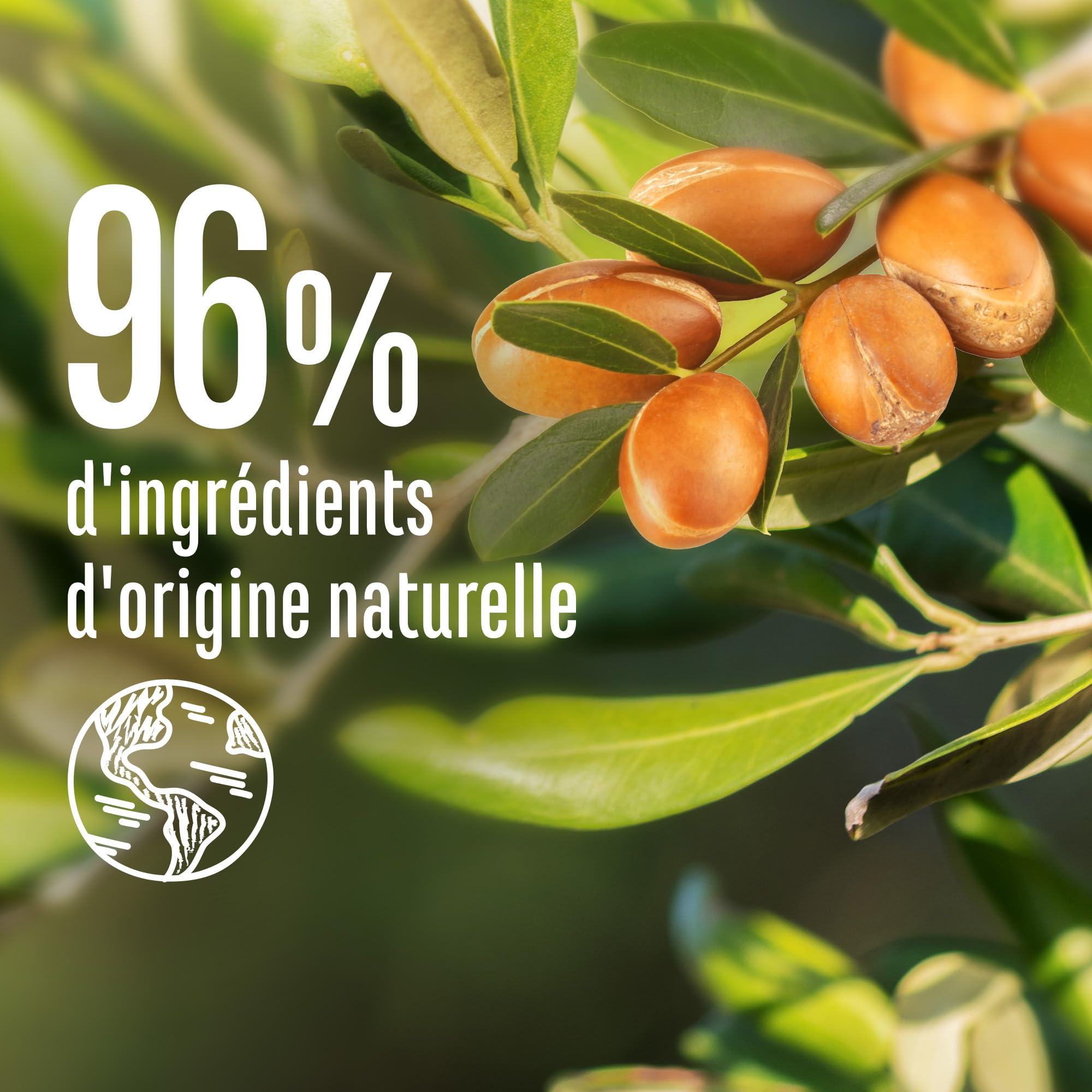 Le Petit Marseillais – Masque 4 en 1 Nutrition Intense Huile d'Argan Bio (pot de 370 ml) – Masque capillaire pour cheveux très secs – Soin cheveux sans silicone 96% d'origine naturelle