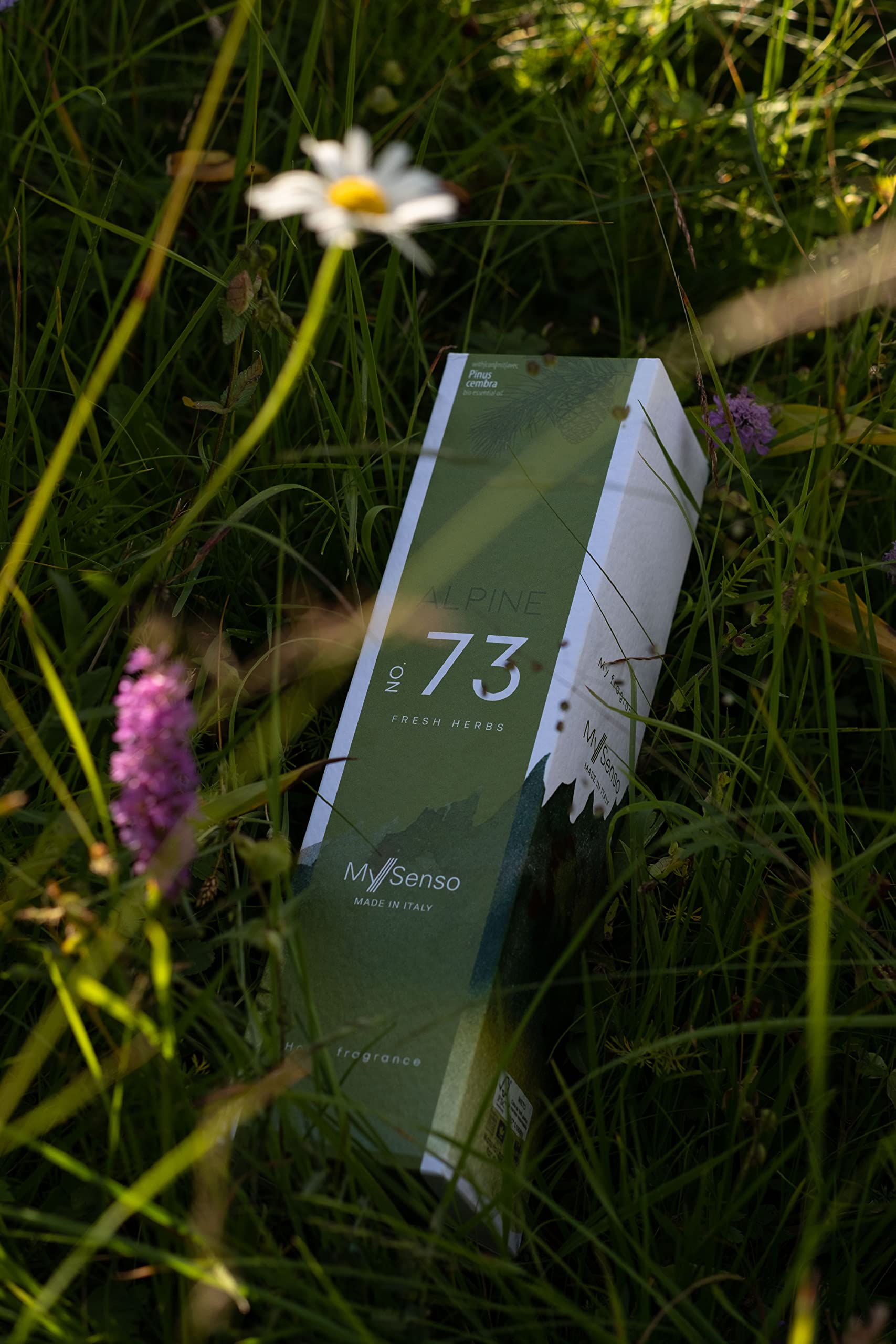 MySenso Alpine - N°73 Fresh Herbs - Diffusore a bastoncini con olio di pino cembro biologico - fragranza alpina per casa e ambiente - profumo fresco – confezione regalo elegante e sostenibile
