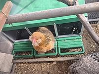 Review Image by KAP KAP