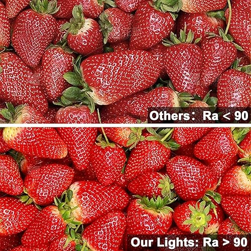 Miniatura 4 de VST Tira de luces LED COB de 16.4 pies, color blanco frío, 6500 K, cinta LED regulable de 12 V, 48 W, 2400 LED, Ra 93+, IP30, iluminación para