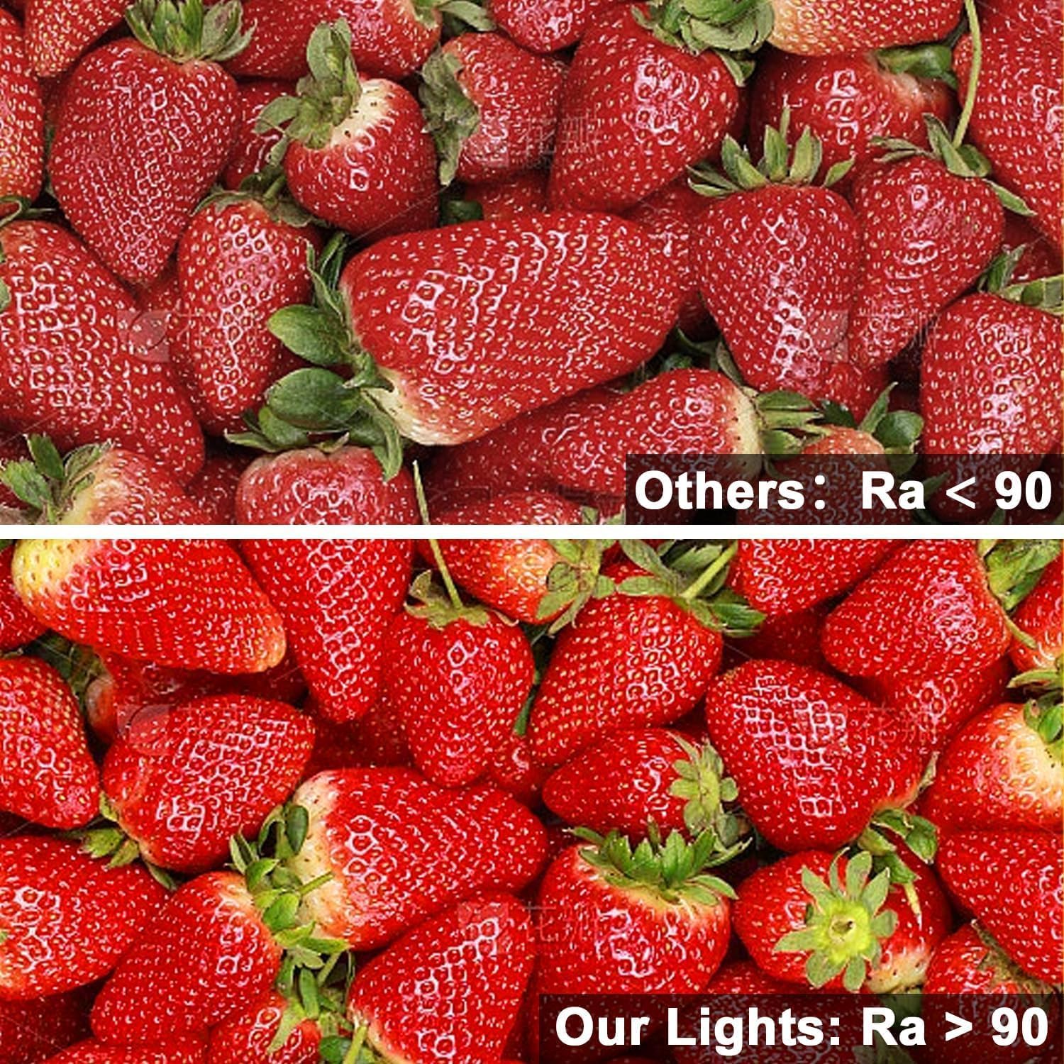 VST 12V 8mm 16.4ft/5m COB LED Strip Lights, Warm White 2700K, Dimmable LED Tape Light,9.6w/m,2400 LEDs, Ra 93+, IP30, Lighting for Kitchen, Cabinets, UL Listed(NOT Include Driver)