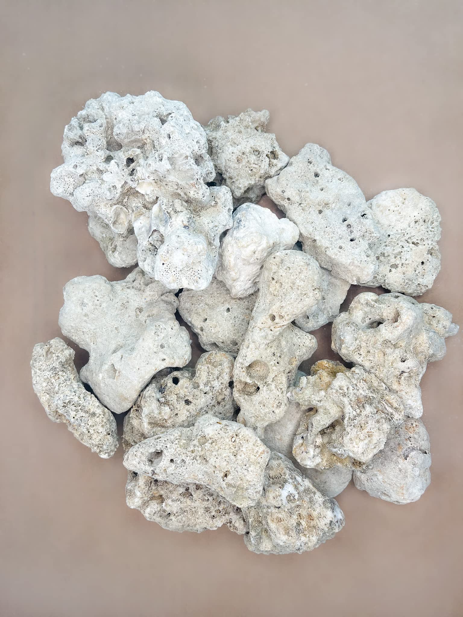 Wave Point 20 LBS - Natural Ocean Coral Base Rock (Assorted Size) for Saltwater, African Cichlids, Brackish Freshwater Aquariums, and Koi Fish Pond