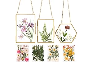 Double the Beauty, Display Your Dried Flowers with Ease!