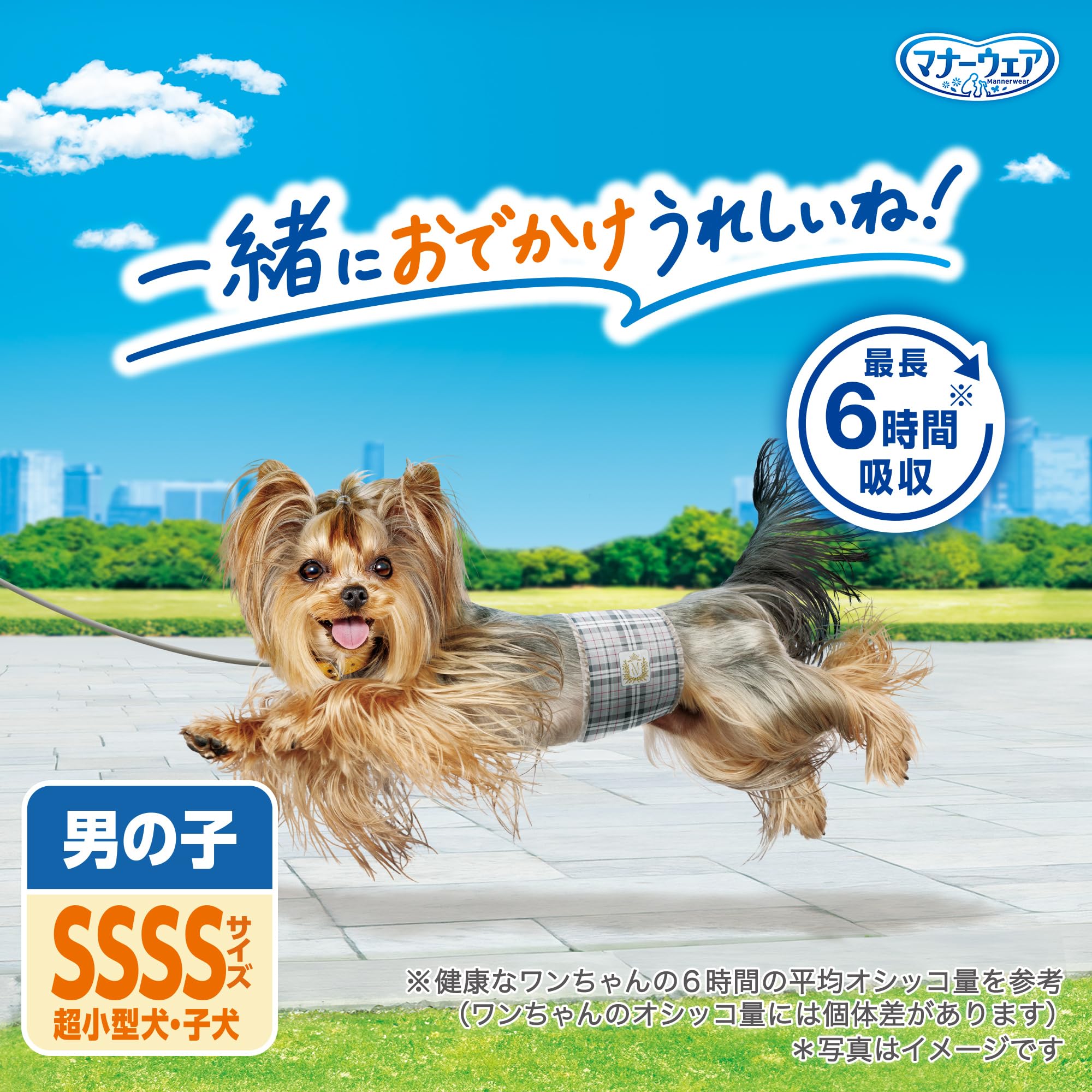 Amazon | マナーウェア 犬用 おむつ 男の子用 SSSSサイズ 超小型犬