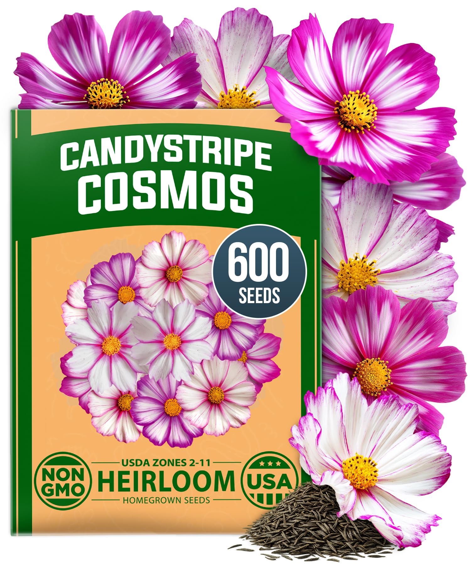 HOME GROWN Cosmos Candystripe 600 Flower Seeds Cosmos bipinnatus
