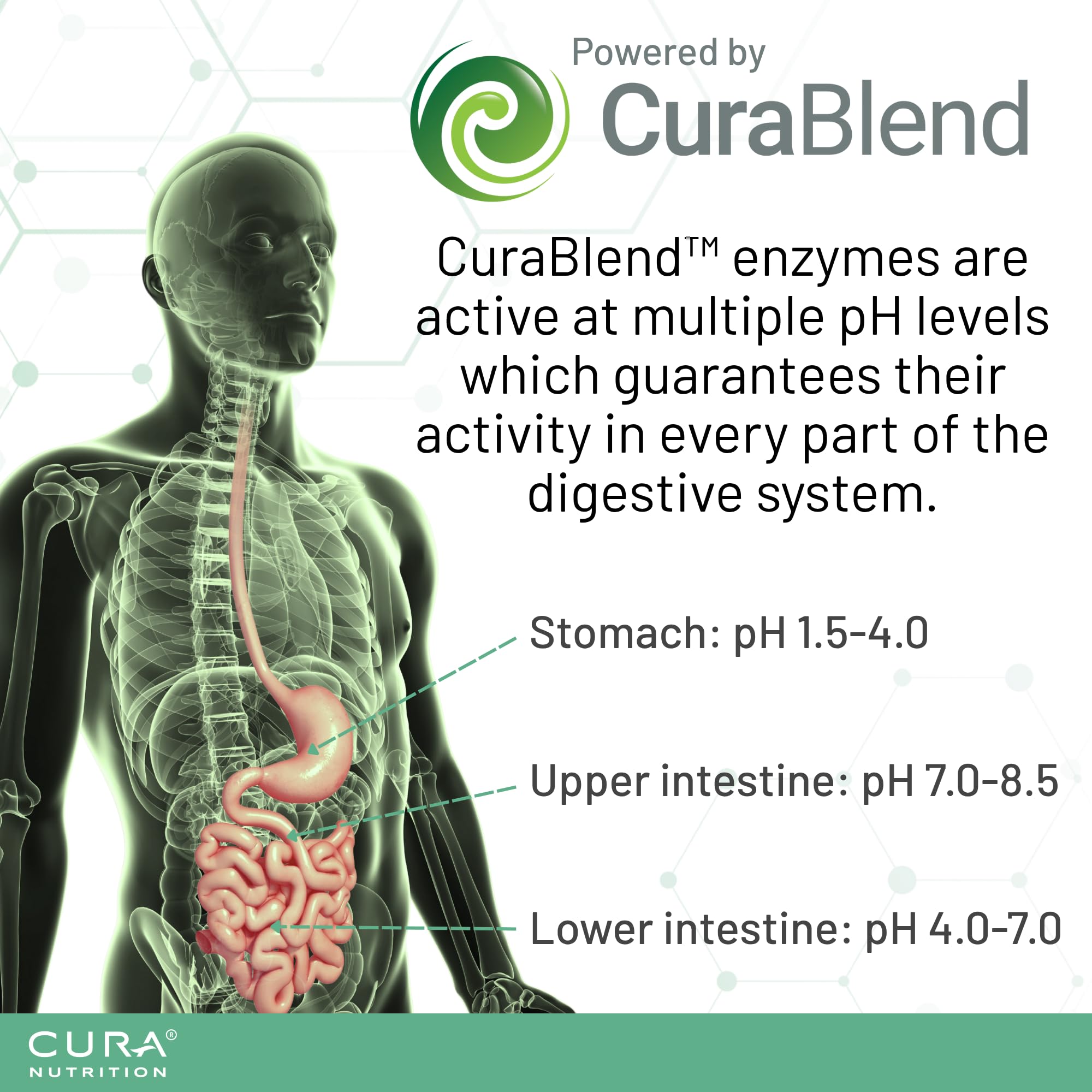CURAZYME TOLERANCE (90 Kapseln) Enzymkomplex bei Lebensmittelunverträglichkeiten, Unterstützung der Verdauung von Gluten, Laktose, Hülsenfrüchten, Vegan