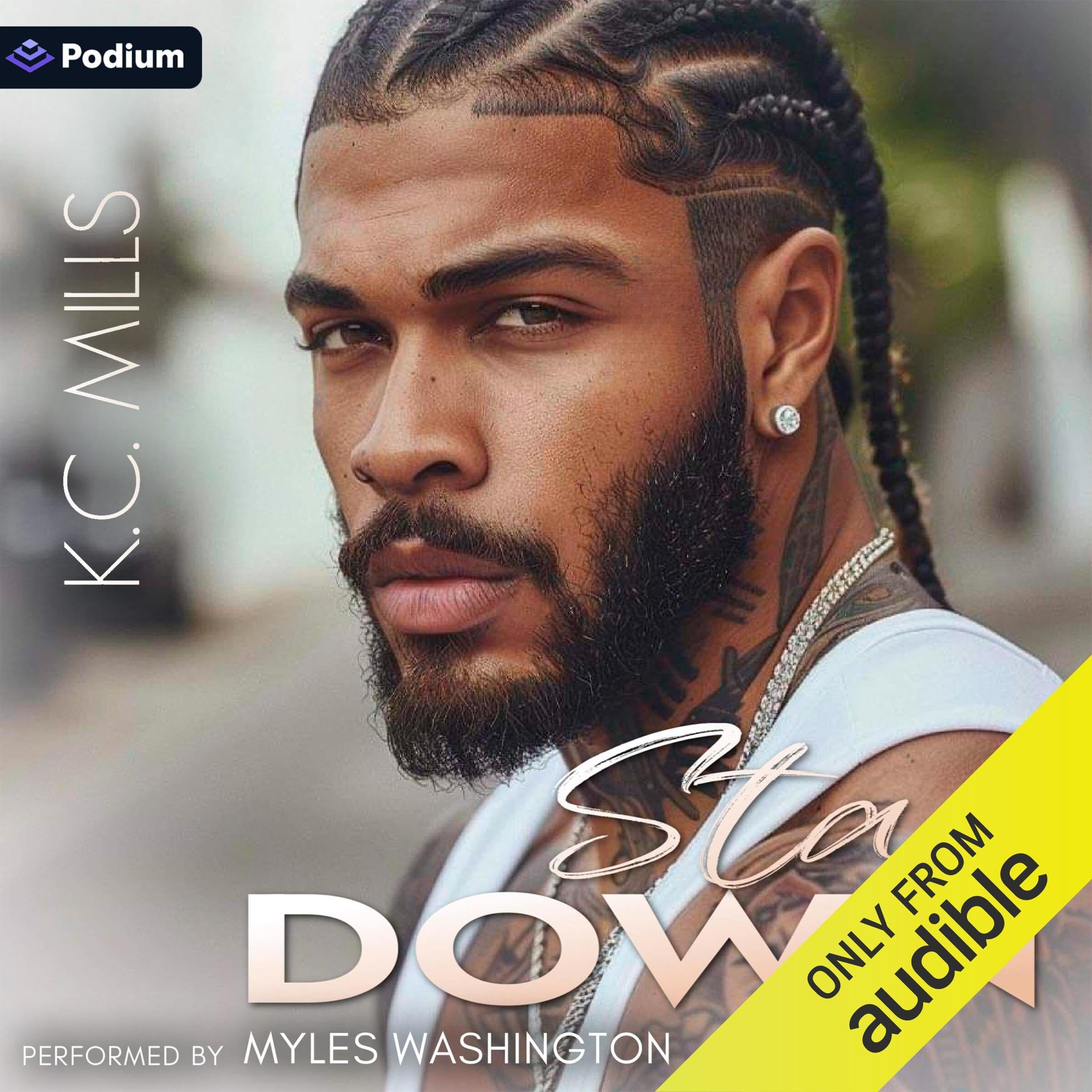 Cover art for Stay Down
