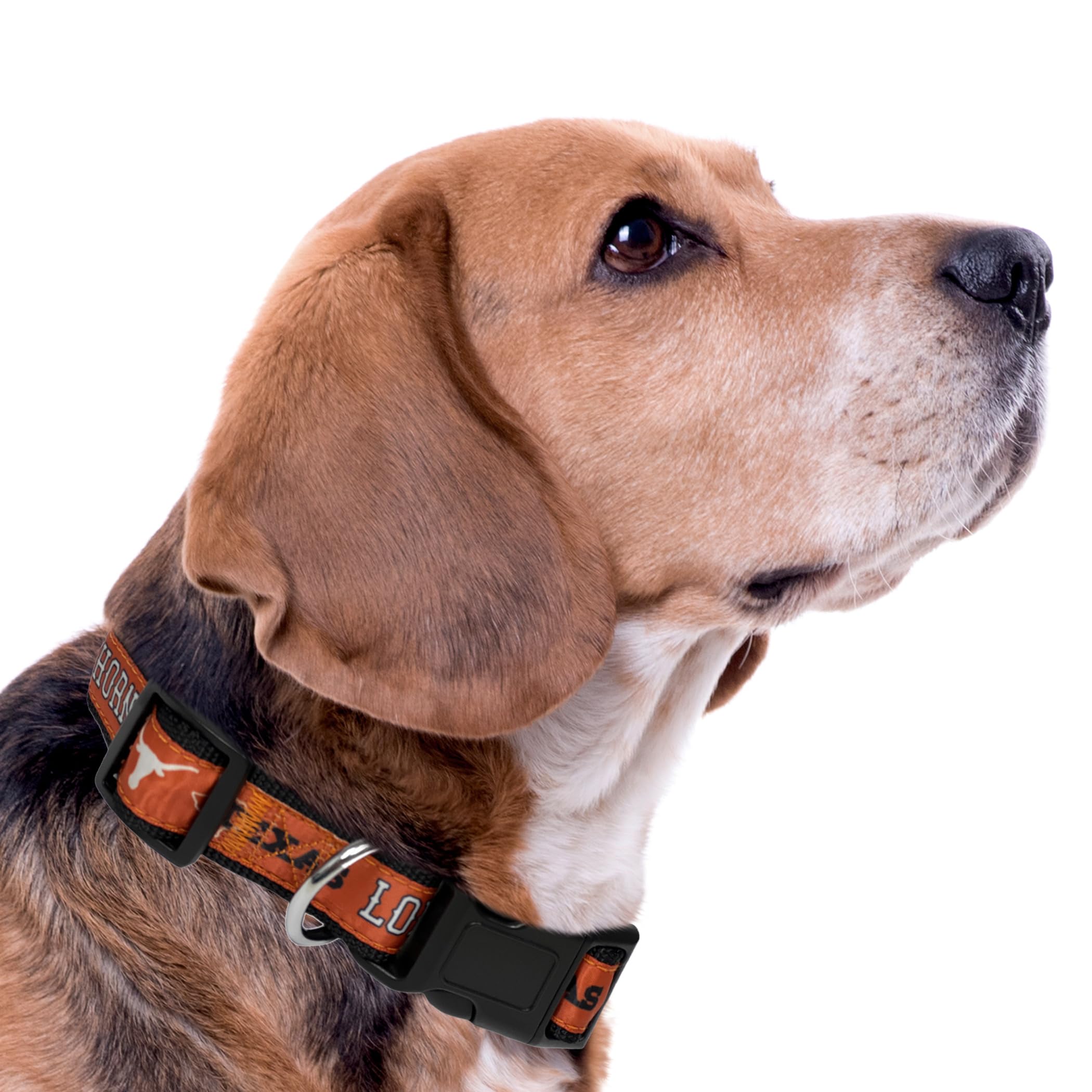 NCAA PET Collar Texas Longhorns Dog Collar, Large Collegiate